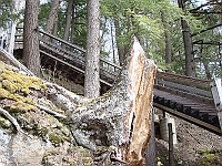 304 Memorial Day [2008 May 23]